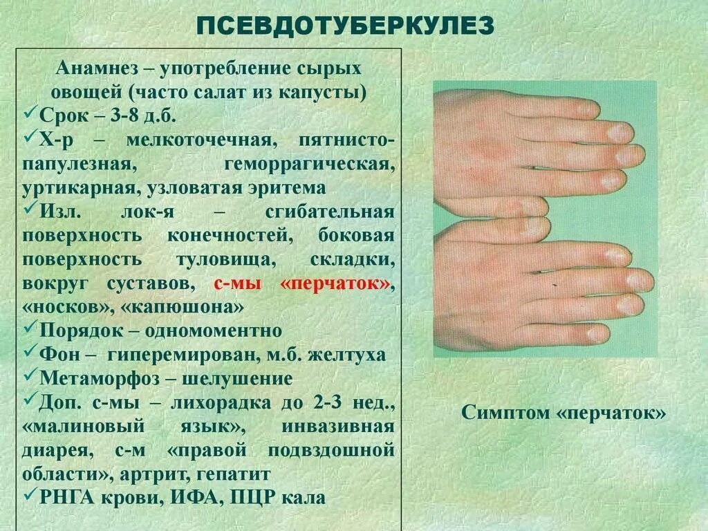 Условия заражения псевдотуберкулезом гигтест ответ