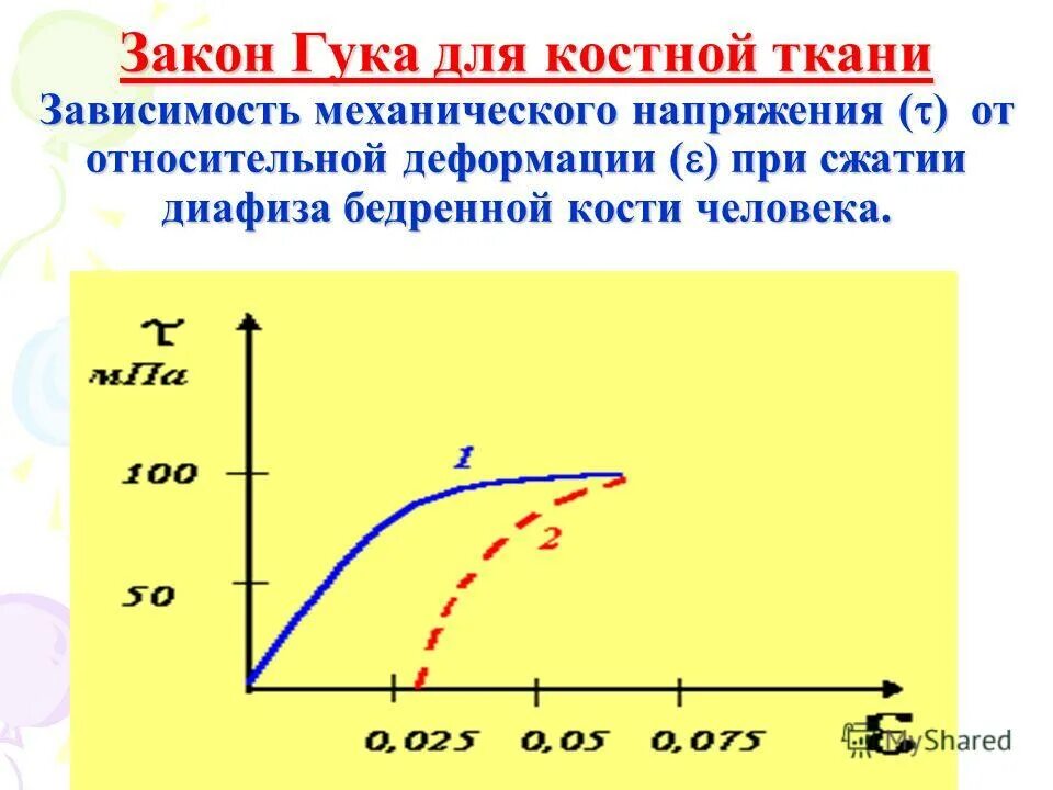 Механические свойства легких. Растяжимость и эластичность легких. Механические свойства легких. Механические свойства легких. Механические свойства легких.