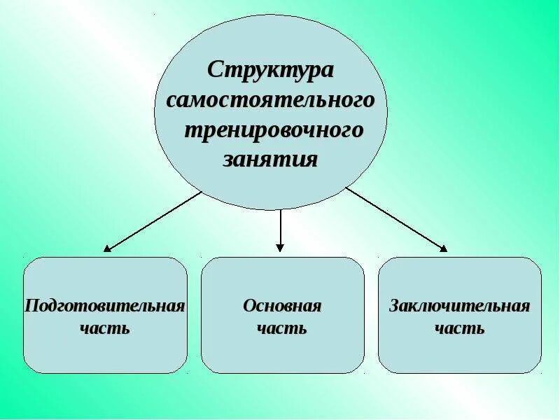 Основная группа подготовительная специальная. Структуре самостоятельного занятия. Структура самостоятельного занятия физическими упражнениями. Структура самостоятельных тренировочных занятий. Части структуры самостоятельных занятий.