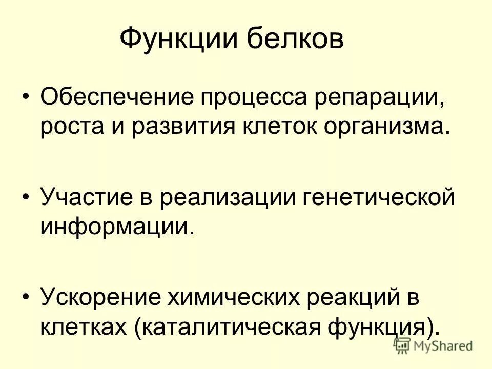 Каталитическая функция воды. Каталитическая функция белков. Ускоритель химических процессов.