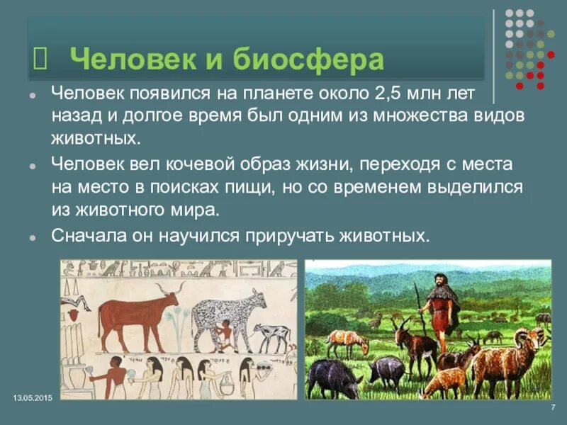 Биосфера и человек 11 класс