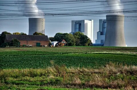 Industry plants