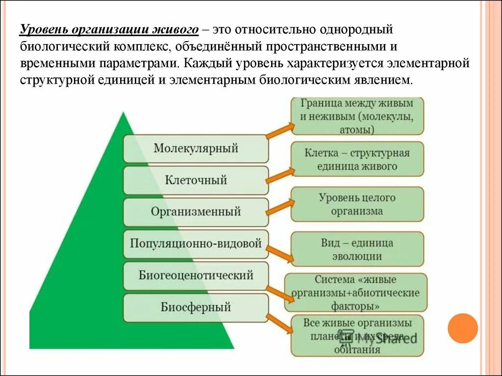 Условия организации живого