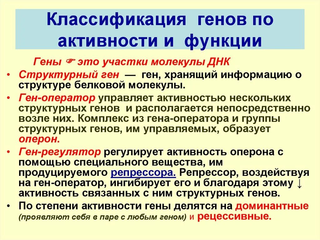 Какое событие приводит к потере функции гена. Классификация генов. ген классификация генов. функциональная классификация генов. моделирование функции генов другими генами.