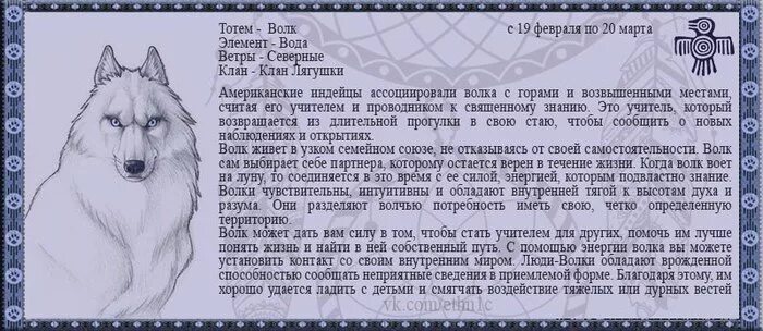 Тотем и антитотем по дате. Тотемное животное. тотемное животное по. тотемные животные по дате рождения. гороскоп тотемных животных.