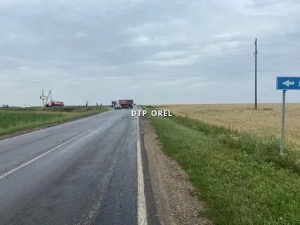Типичный орел происшествия