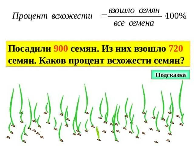 От чего зависит время посева