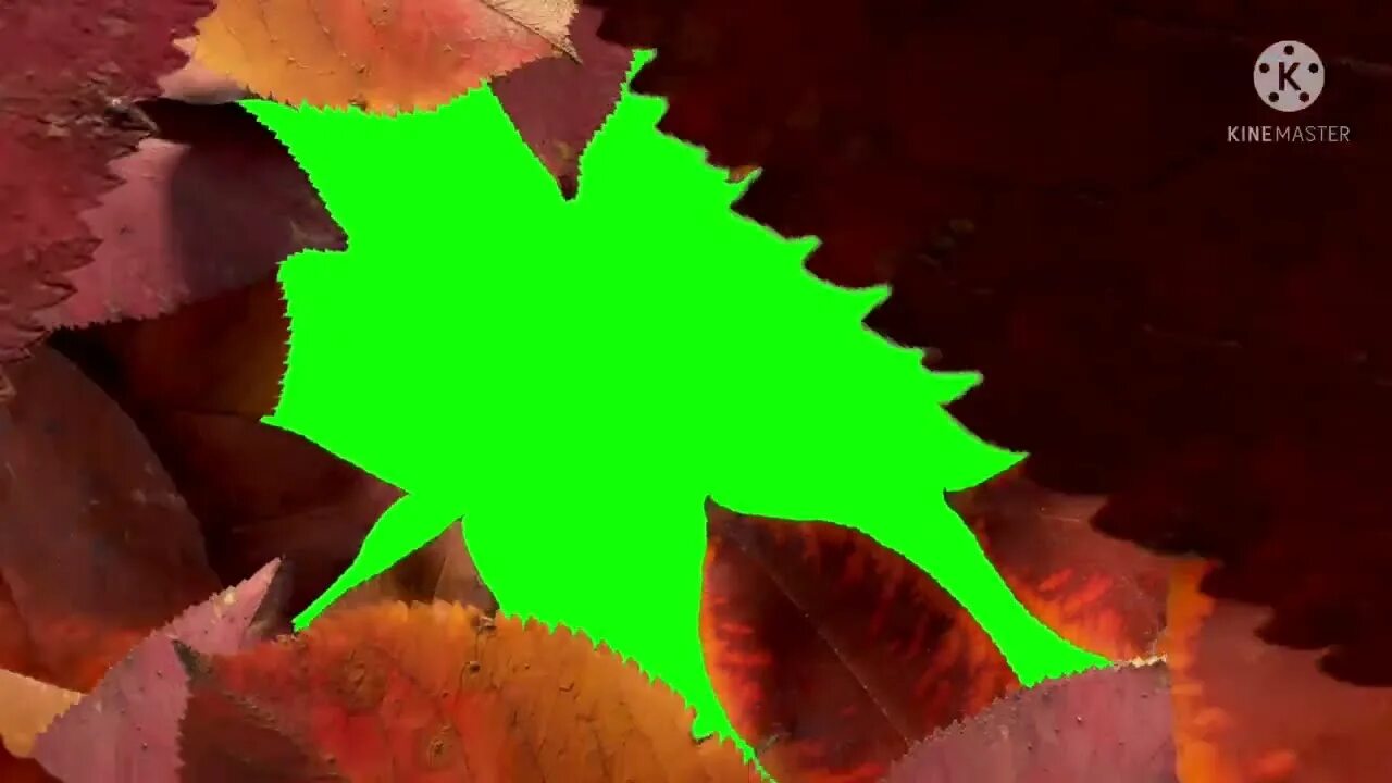 Transition leaves