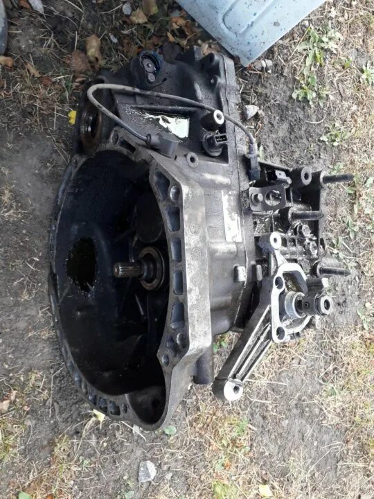 ркпп вортекс тинго