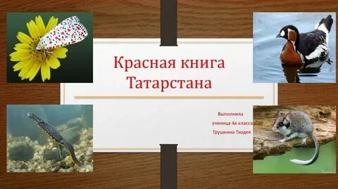 Животные и растения татарстана