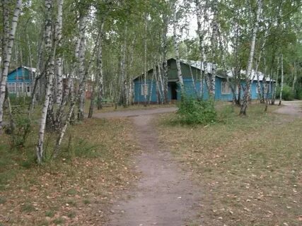 Сосновый бор воронеж