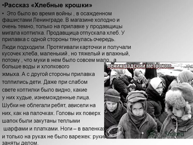 рассказ хлебные крошки блокада. рассказ хлебные крошки блокада. рассказ хлебные крошки ленинград. вера евгеньевна карасёва кирюшка иллюстрации. вера карасева хлебные крошки.