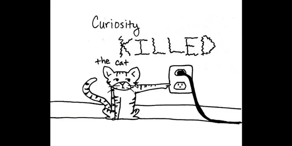 Curiosity killed the. Curiosity Killed the Cat. Пословица Curiosity Killed a Cat.. Curiosity Killed the Cat русский эквивалент. Curiosity Killed the Cat Мем.