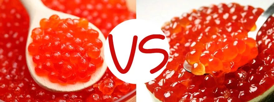 Какая икра вкусней горбуша нерка или кета. Икра кеты и горбуши. икра кеты и горбуши отличия. красная икра кеты и горбуши отличия. различия красной икры.