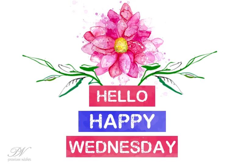 Hello Wednesday. Hello Wednesday картинки Рисованные. Happy Wednesday. Wednesday Wishes.