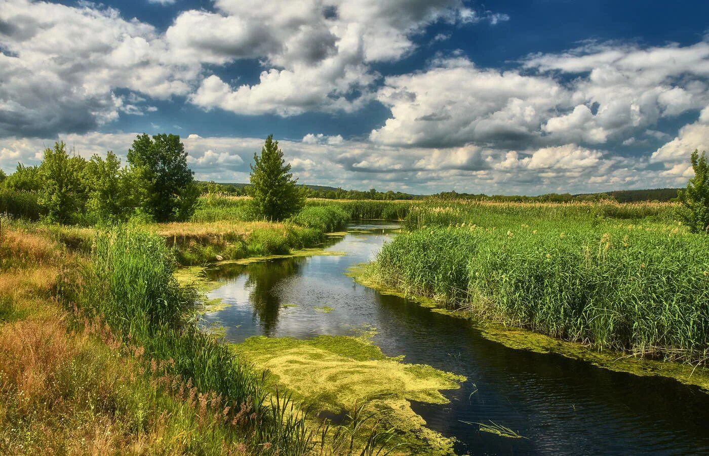 Река Бузулук. Река Карачуха. Леуза река. Излучина реки Луга. Лето река фото