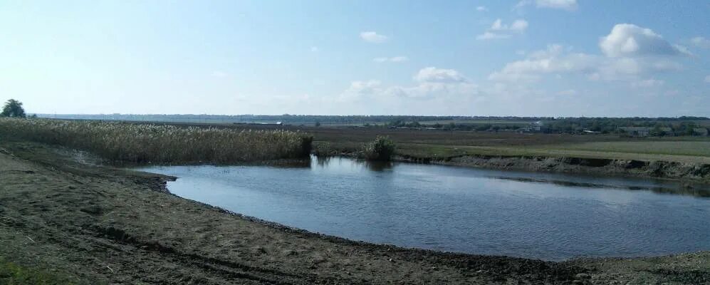 Нова алексеевка. Село новая алексеевка. Нова алексеевка. Новый поселок в алексеевке. Нова алексеевка.