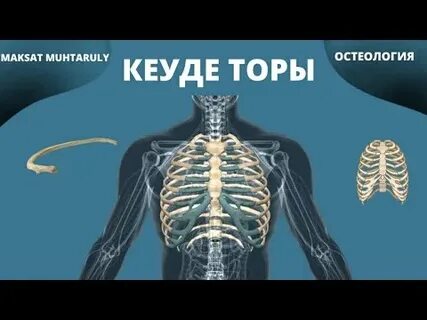 Тісті таяқшадағы әйелдер оргазмы туралы бейне