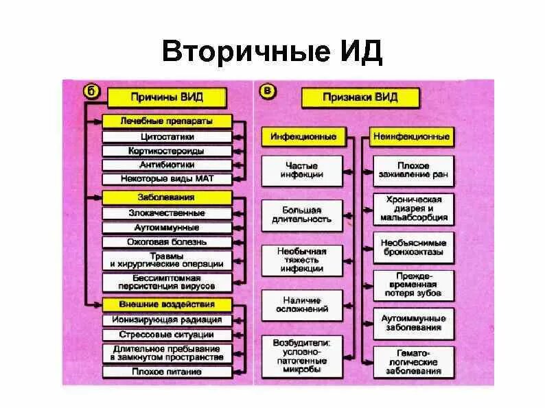 Содержание ид