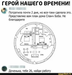 Губка план