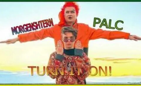 Включи palc