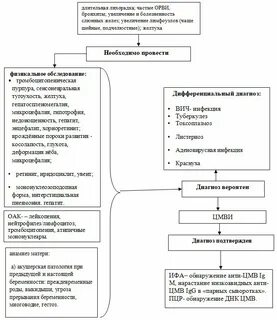 Диагностика цитомегаловирусной инфекции
