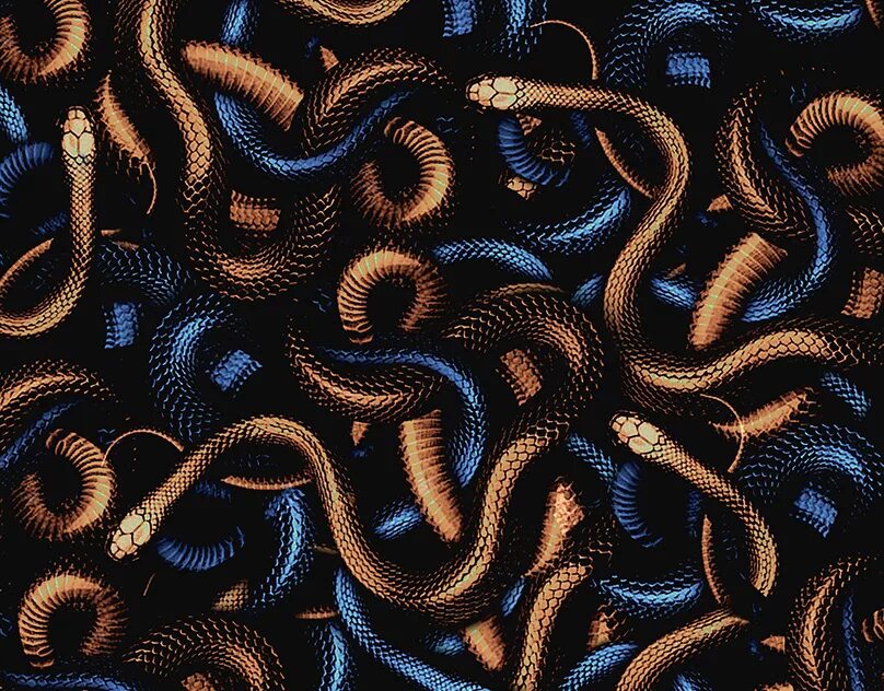 Snake pattern