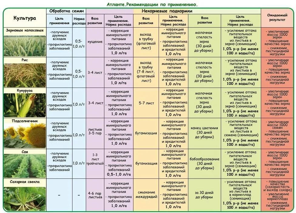 Какое удобрение надо вносить. Удобрения для овощных культур таблица подкормки. Таблица подкормок овощных культур минеральными удобрениями. Подкормка овощей удобрениями таблица. Схемы подкормки цветов и овощей.