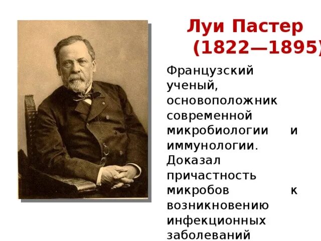 Луи Пастер основоположник микробиологии и иммунологии. Луи Пастер основоположник микробиологии ppt. Луи Пастер (1822-1895). Ученые основоположники микробиологии.