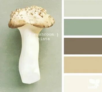 Оттенок mushroom
