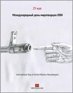29 мая день