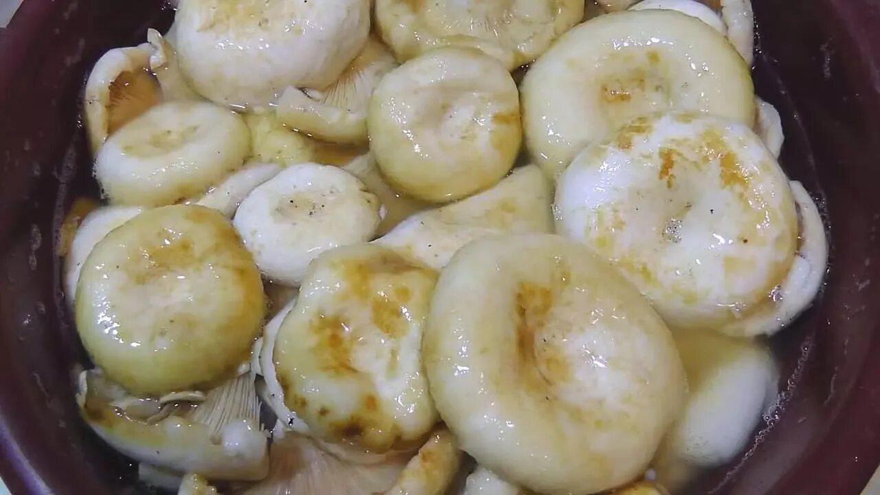 Грузди соленые. Как засолить грузди холодным способом. Грузди соленые. Грибы грузди соленые на зиму. Белые грузди в банках.