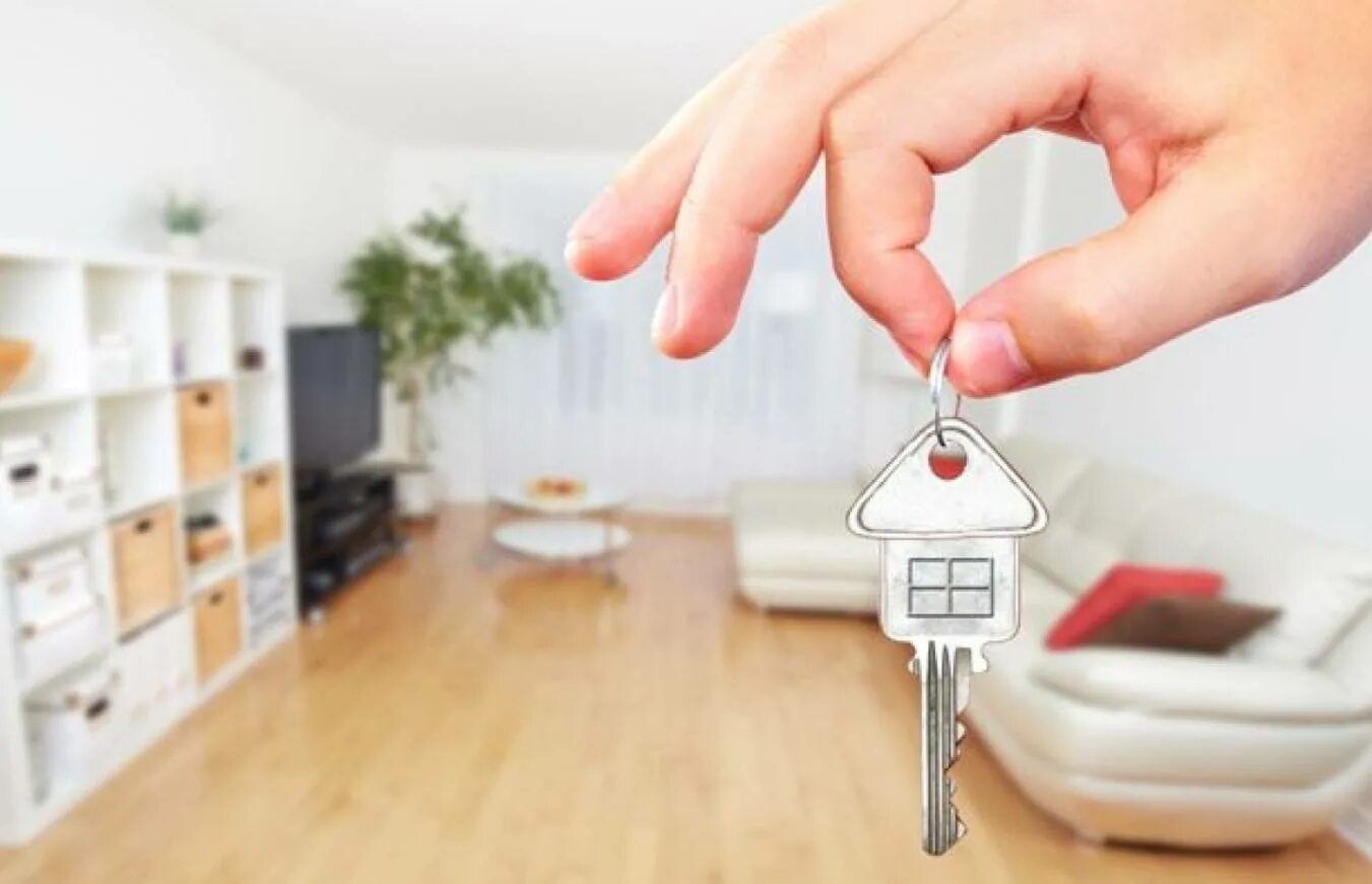 Проверить продаваемую квартиру. Проверить продаваемую квартиру