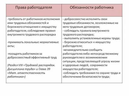 Обязанности работника указаны в трудовом договоре