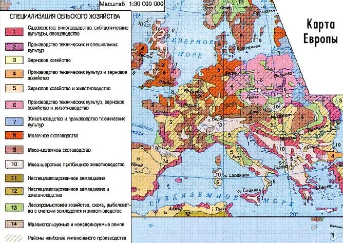 Подпишите в легенде сельскохозяйственную специализацию территории