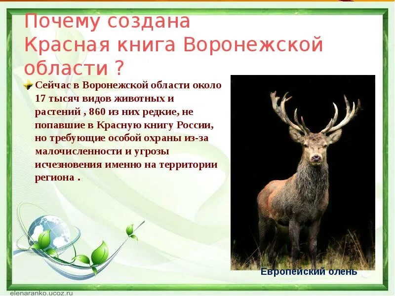 По страницам Красной книги" 2020, Грибановский район - дата и место проведения, 