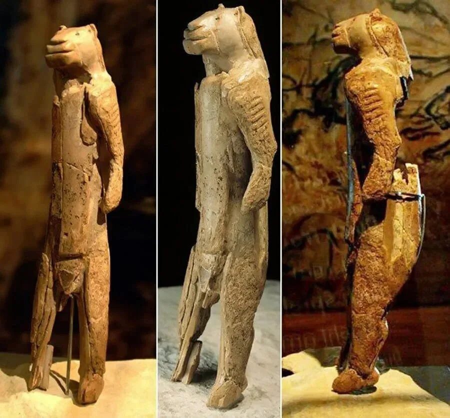 Лев найдена человек. Пещерный лев находка в якутии. Львица поймала обезьяну. Лев и человек олег. Лев найдена человек.