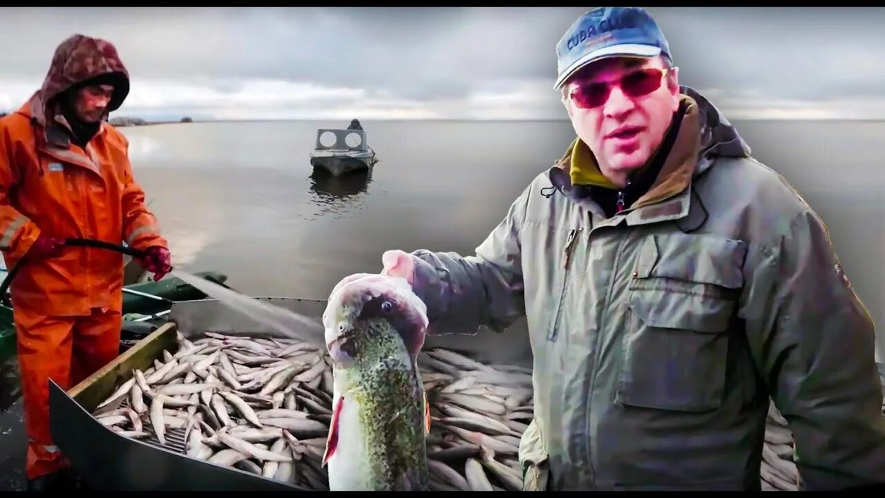 Охота и рыбалка на севере видео. Рыбы Арктики. Ряпушка Тазовский. Омуль в Гыданской губе. Гыдан промысел.