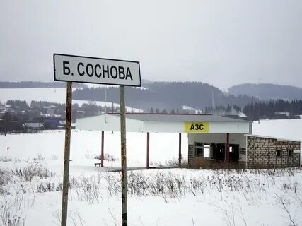 Большая соснова