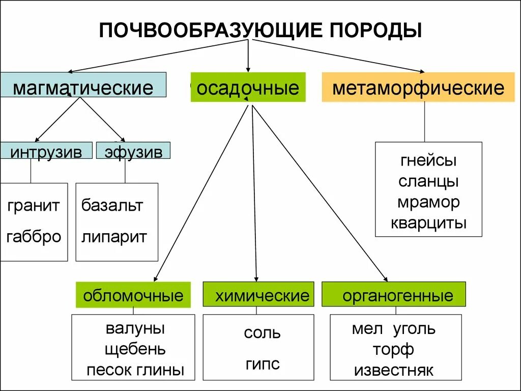 Характеристика почвообразующих пород. Почвообразующие породы. Почве образующие породы. Основные почвообразующие породы. 3 типа горных пород