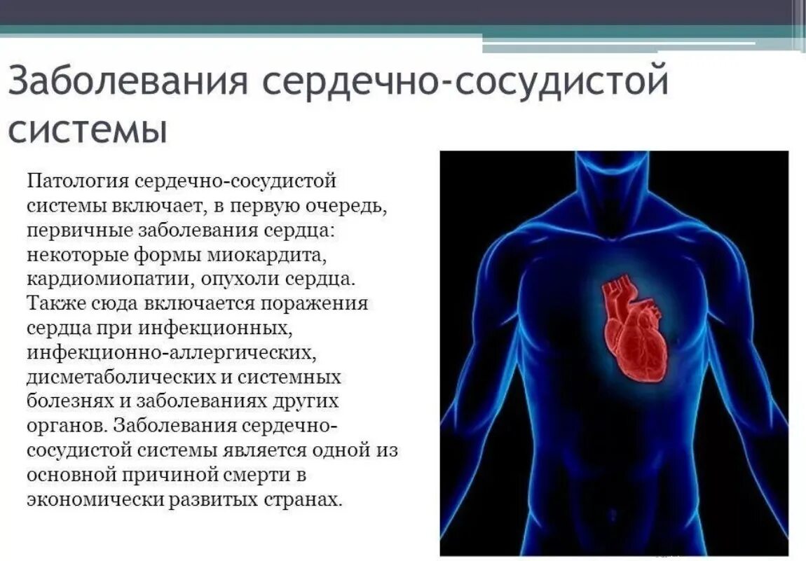 Что патология и тем. Сердечно-сосудистые заболевания. Нарушение сердечно сосудистой системы. Cсердечно-сосудистые заболевания.