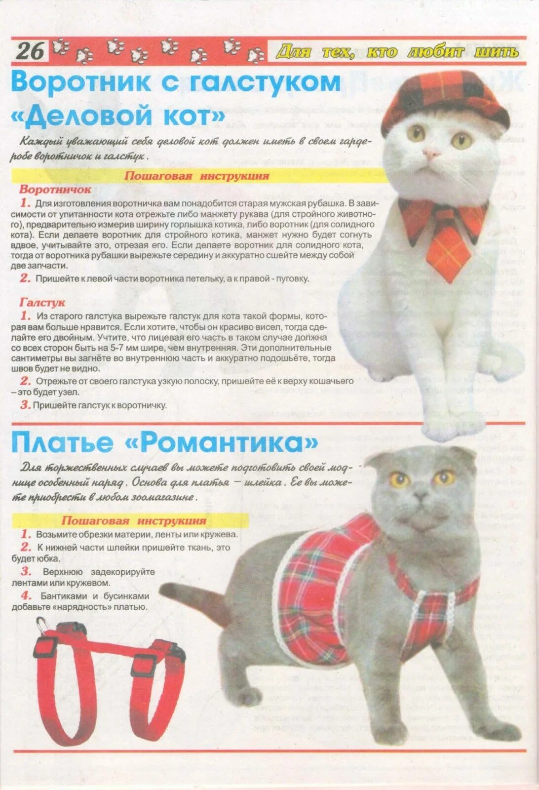 Коты инструкции