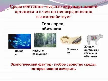 Среды обитания организмов презентация
