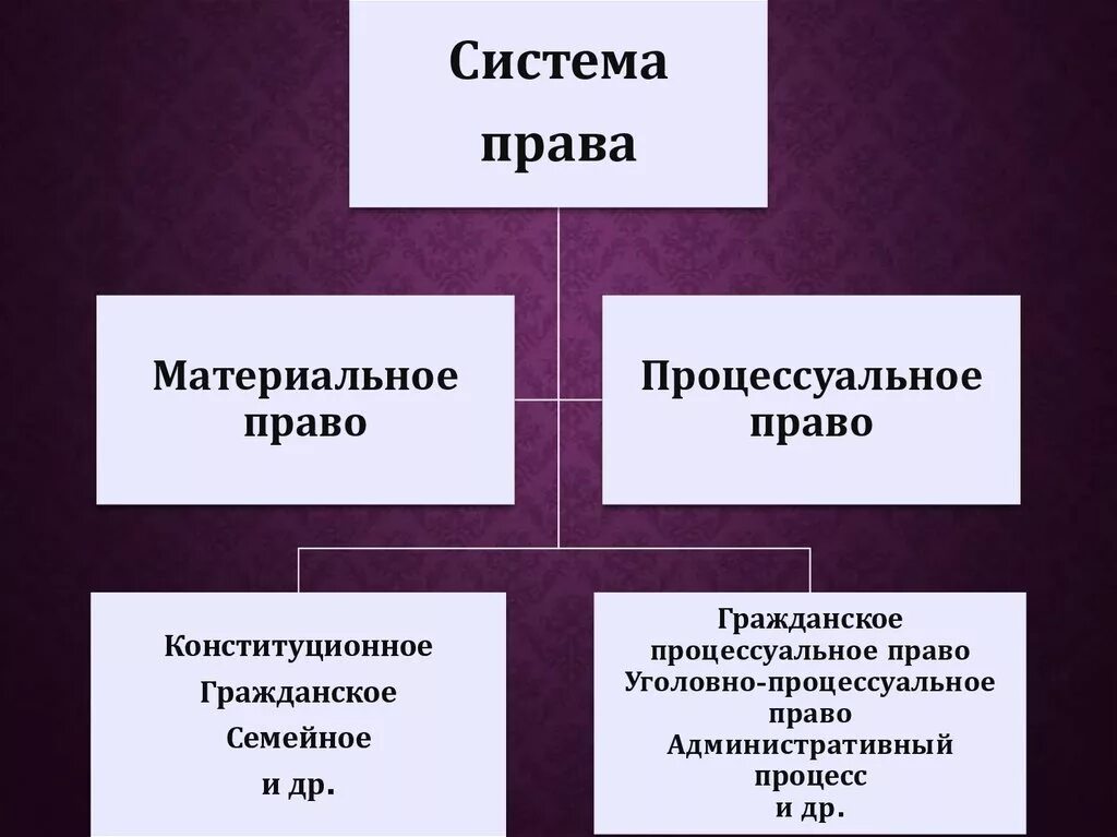 Что регулирует процессуальное право