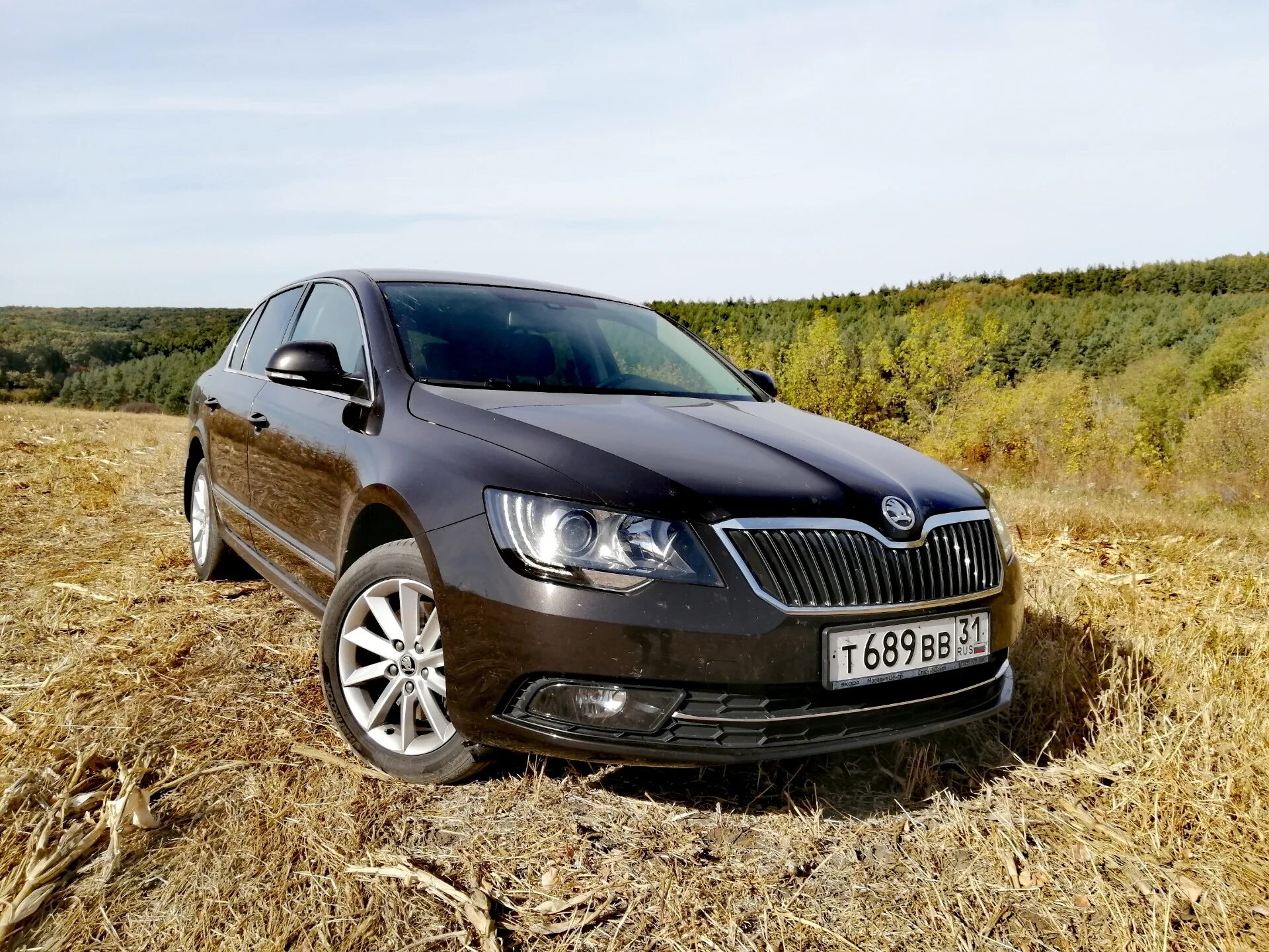 То шкода суперб. Skoda superb mk2. суперб 201. skoda superb long. шкода суперб лонг.