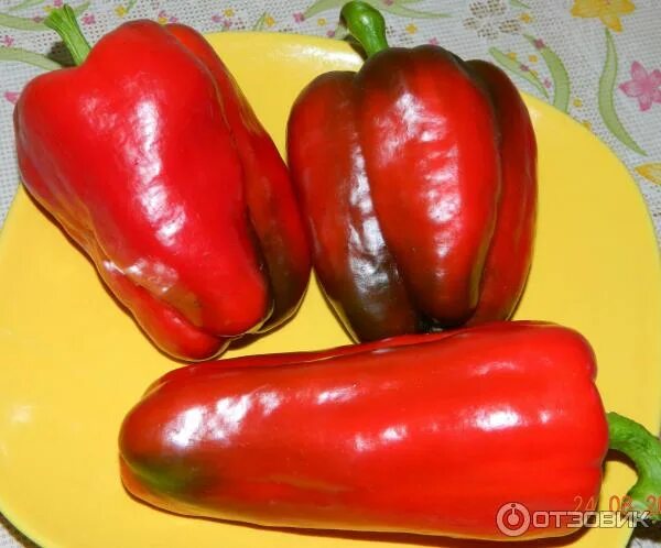 Перец сладкий красные сапожки. Декоративный красный перец. Перец красные сапожки. Перец сладкий красные сапожки. Сорт перца дракоша.