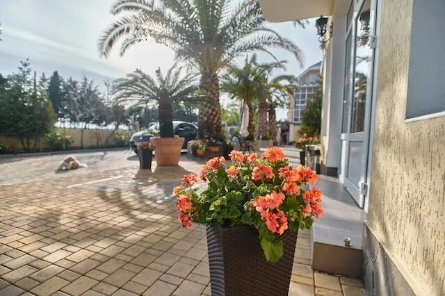 Klas отель алания. B5234t3 двигатель. Тревал 59 пермь. Виста 59. Двигатель 3с.