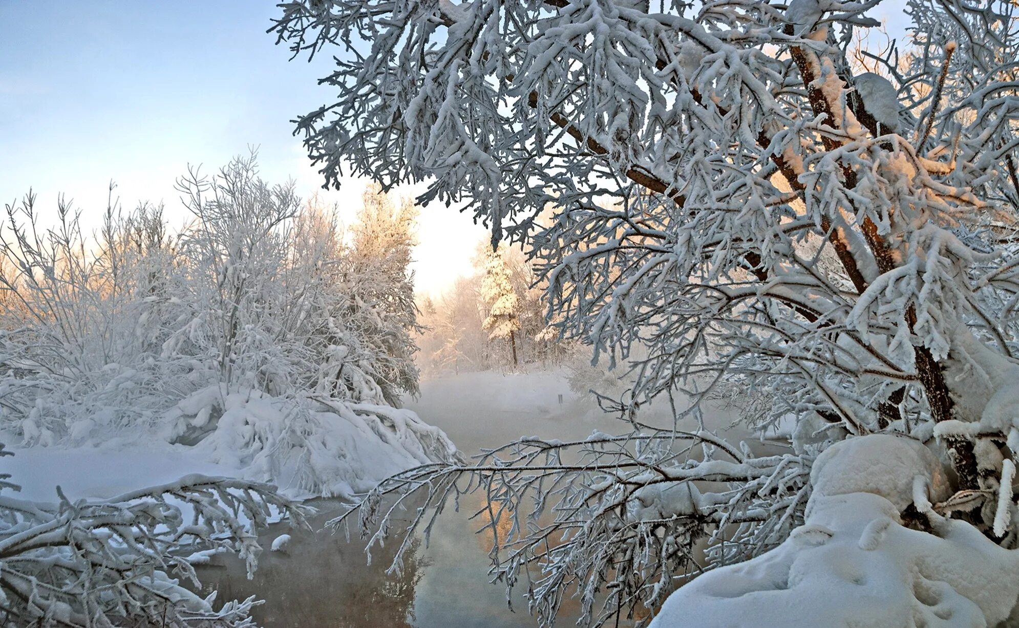 Зима. Зимний лес в инее. Деревья в зимнем лесу. Зимний лес с рекой. Разгар зимы