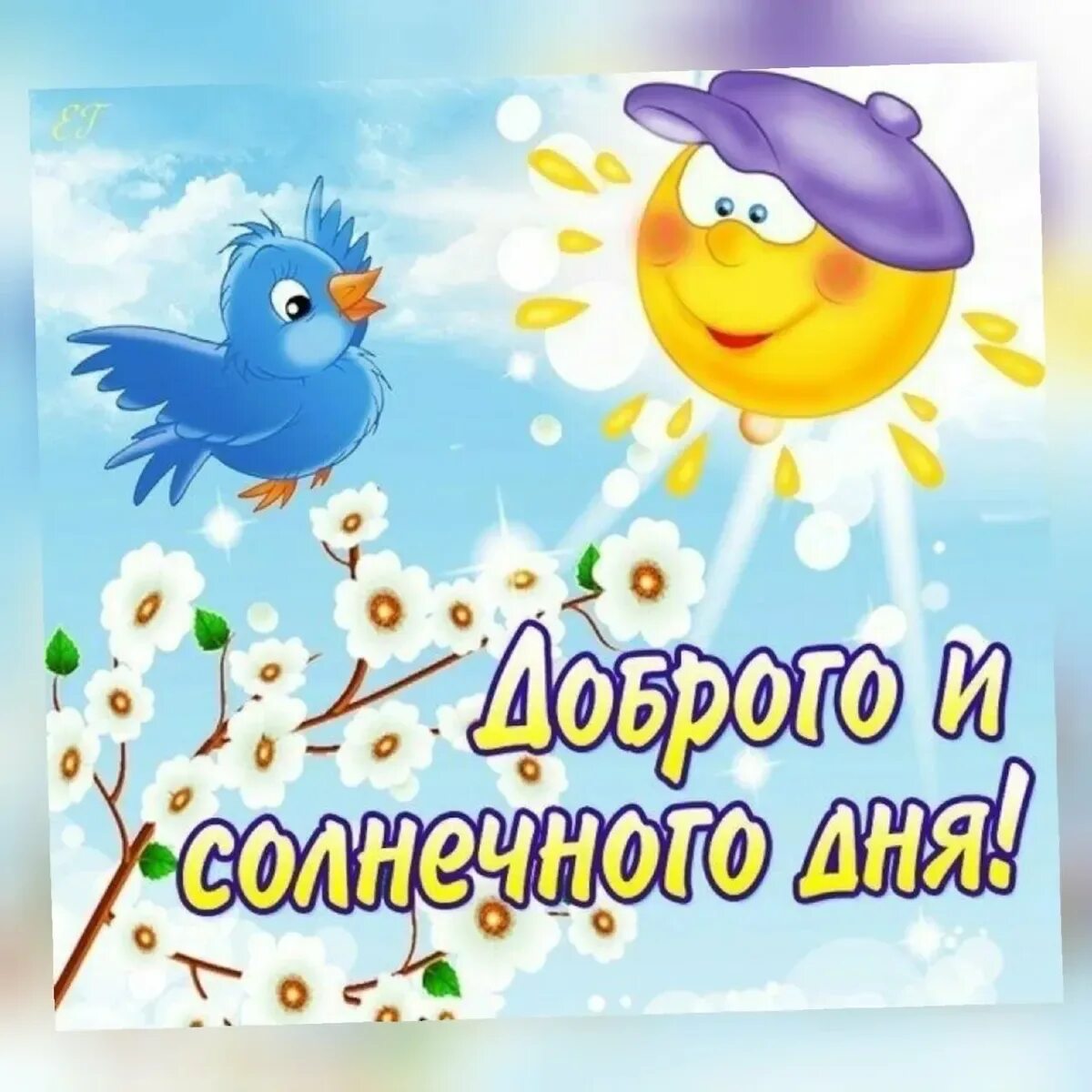 С добрым утром и солнечного дня картинки