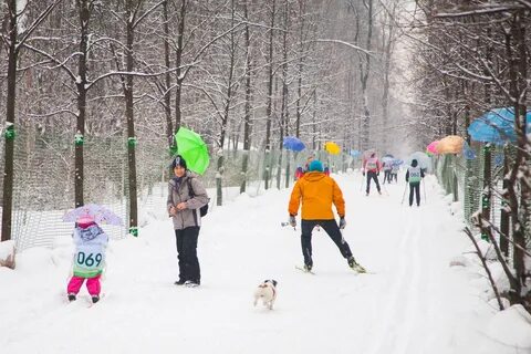 Лыжи в парках москвы